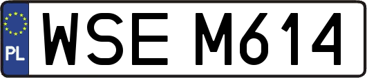 WSEM614