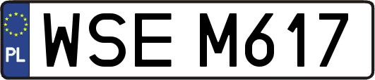 WSEM617