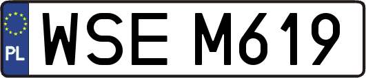WSEM619