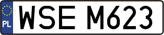 WSEM623