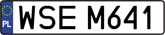 WSEM641