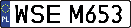 WSEM653