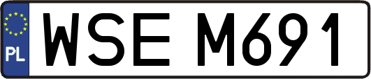 WSEM691