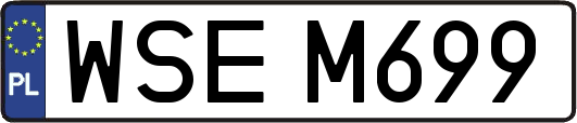 WSEM699