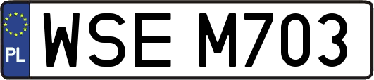 WSEM703