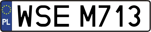 WSEM713