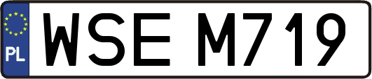 WSEM719