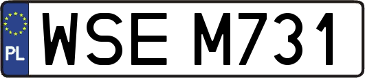 WSEM731