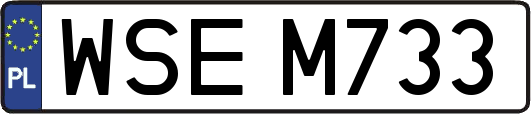 WSEM733