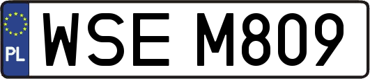 WSEM809
