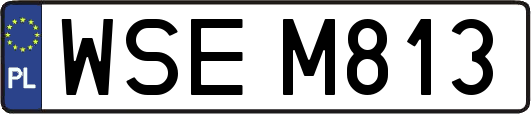 WSEM813