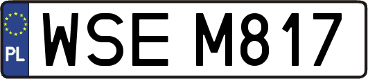 WSEM817