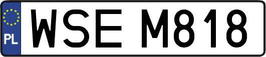 WSEM818