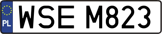 WSEM823