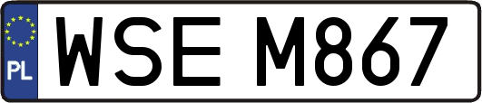 WSEM867