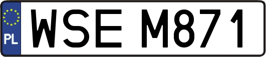 WSEM871