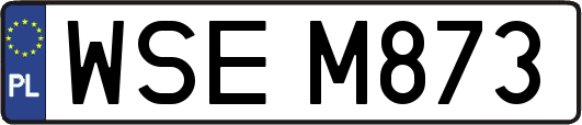 WSEM873