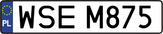 WSEM875