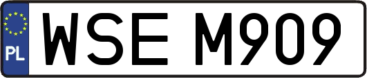 WSEM909