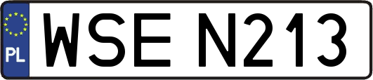 WSEN213