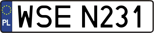 WSEN231