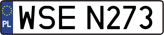 WSEN273