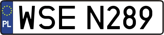 WSEN289