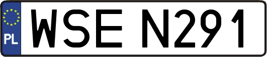 WSEN291