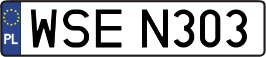 WSEN303