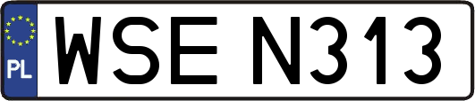 WSEN313