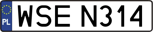 WSEN314