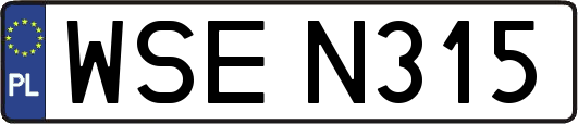 WSEN315