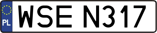 WSEN317