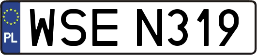 WSEN319