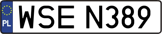 WSEN389