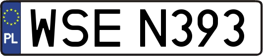 WSEN393