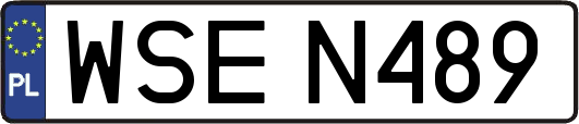 WSEN489