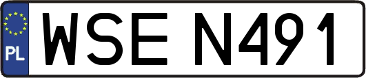 WSEN491