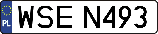 WSEN493