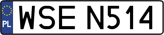 WSEN514