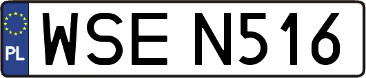 WSEN516