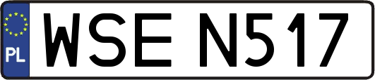 WSEN517
