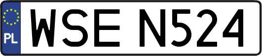WSEN524