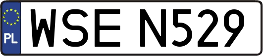 WSEN529