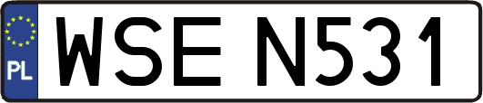 WSEN531