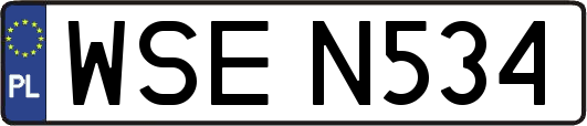 WSEN534