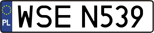WSEN539
