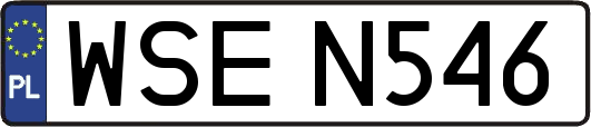 WSEN546
