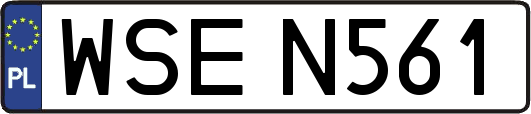 WSEN561