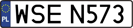 WSEN573